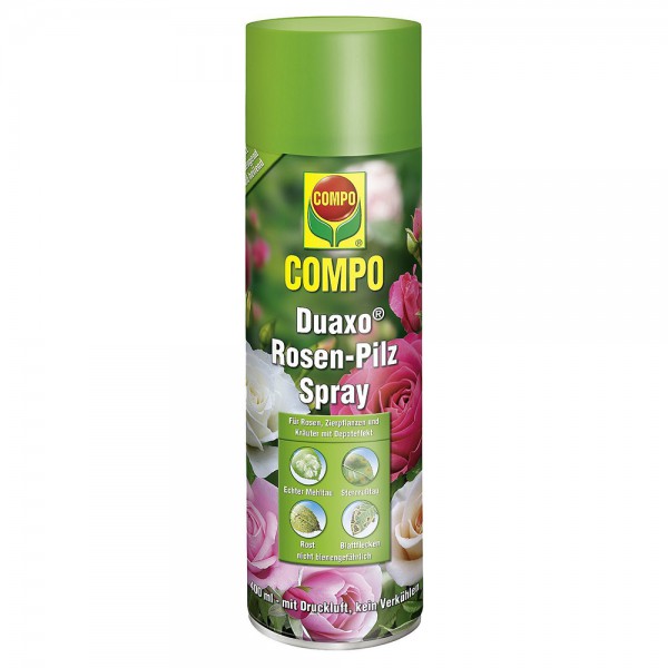 COMPO Duaxo Rosen-Pilz Spray 400 ml