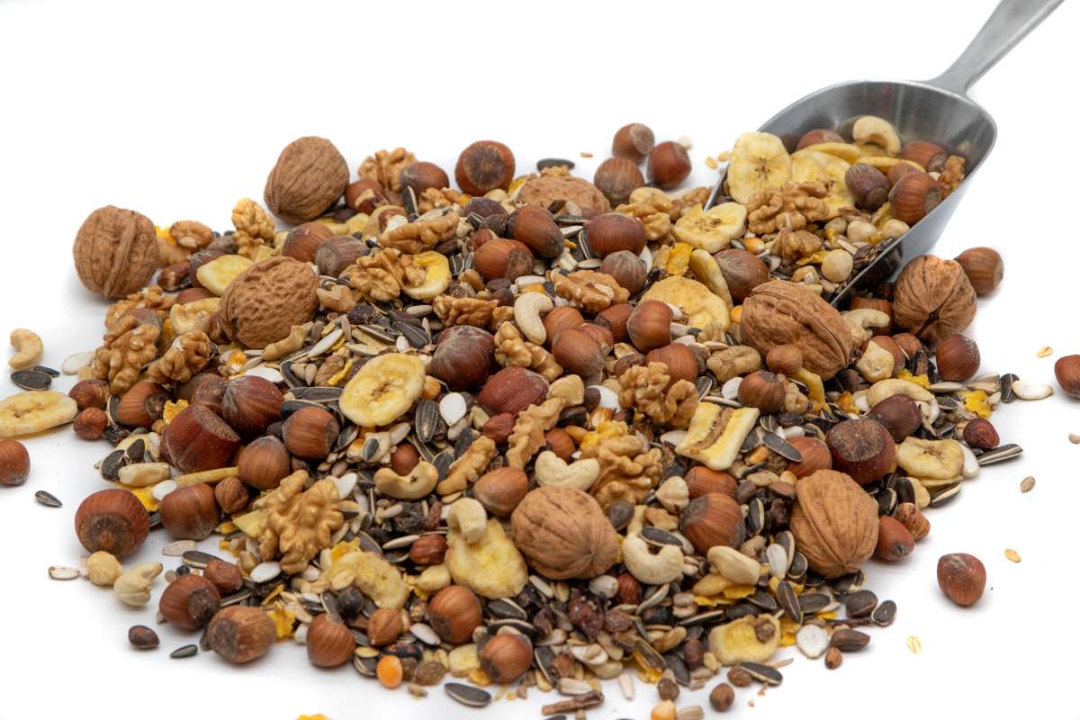 10 Kg Artgerechtes Eichhörnchenfutter Eichhörnchen