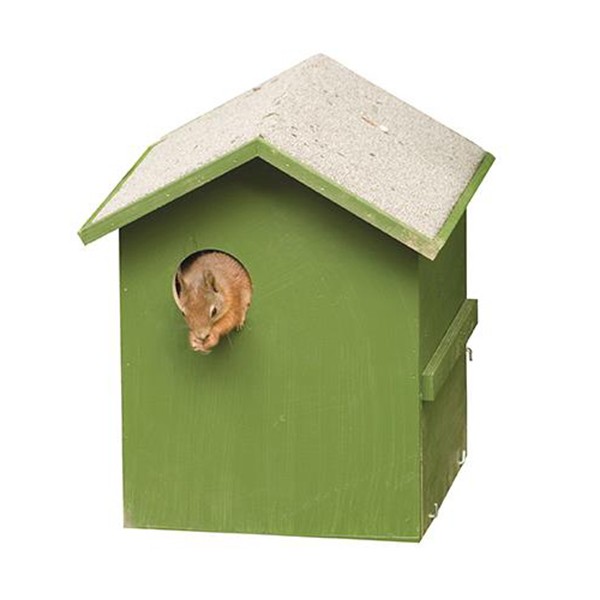 Eichhörnchen-Wohnhaus 303150119