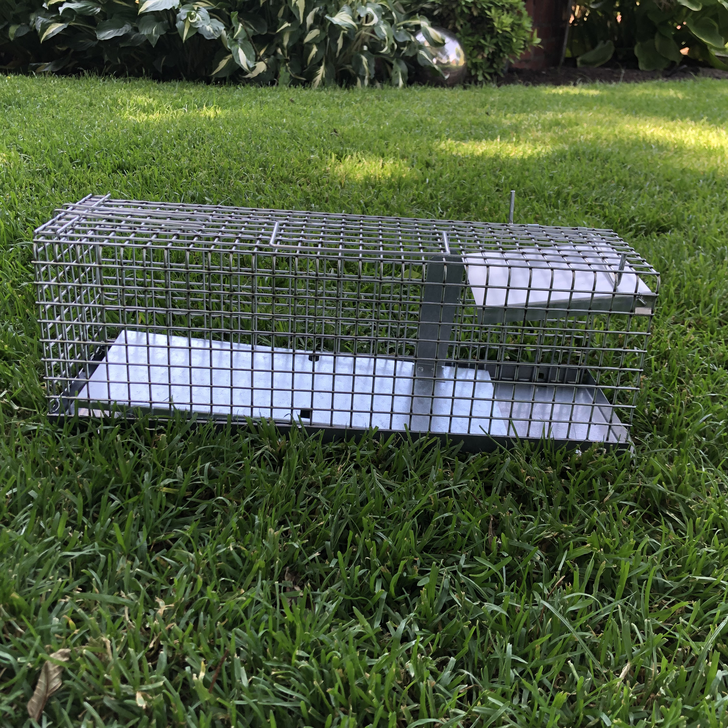 Ratten Lebendfalle Edelstahl  Onlineshop für Tierkost & Garten