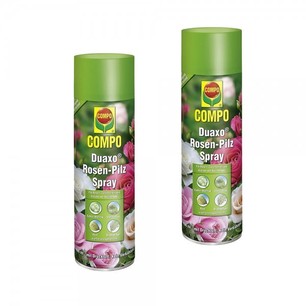 COMPO Duaxo Rosen-Pilz Spray 2 x 400 ml