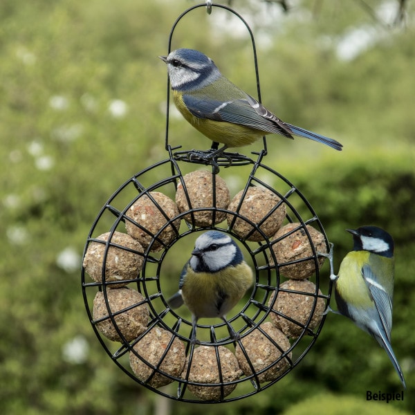 Pauls Mühle Ganzjahresknödel mit Insekten ohne Netz ohne Folie 100 Stück + 1 x Meisenknödel Rondell