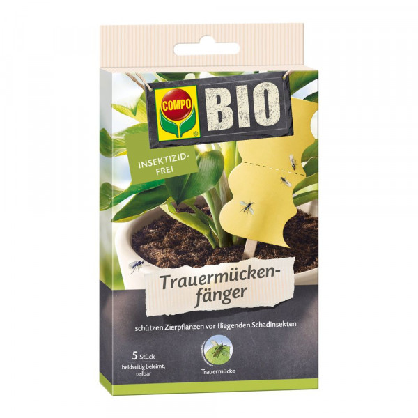 COMPO BIO Trauermückenfänger 5 Stück