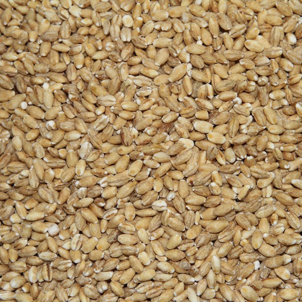 Speise-Gerste 10 kg