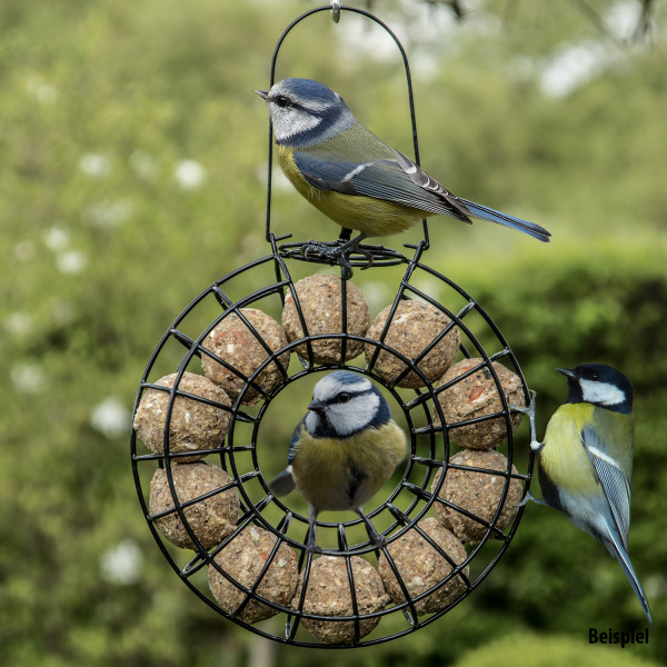 Pauls Mühle Ganzjahresknödel mit Insekten ohne Netz 2 x 100 Stück + 1 x Meisenknödel Rondell