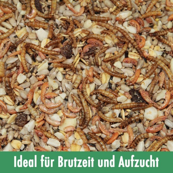 Paul's Mühle Wildvogelfutter Phönix 25 kg