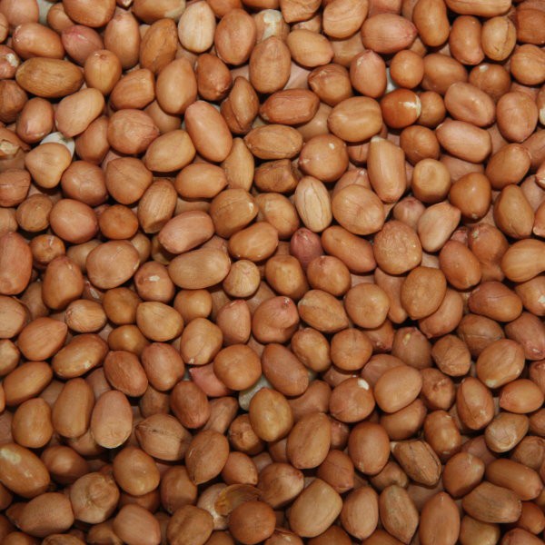 Pauls Mühle Erdnüsse mit Haut Light Skin 5 kg Beutel ERNTE 2021