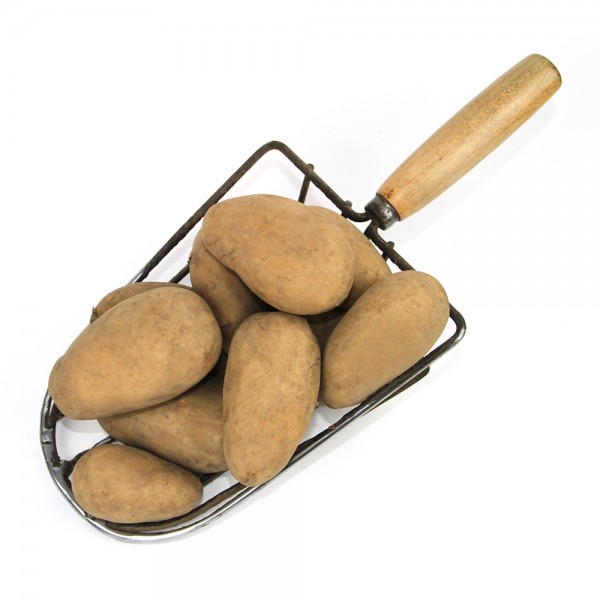 Pauls Mühle Belana Kartoffeln festkochend 12,5 kg