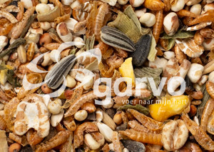 Garvo 207020 Pride Treats 2 kg