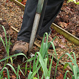 bild-gartenpflege-1