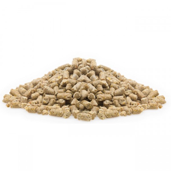 Mifuma Bio Legekorn E Premium 25 kg (DE-ÖKO-005)