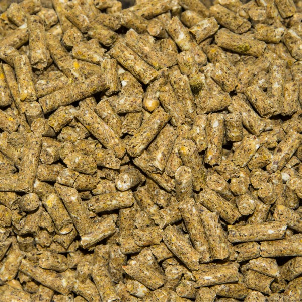 Garvo 480 Schweinepellet extra 20 kg