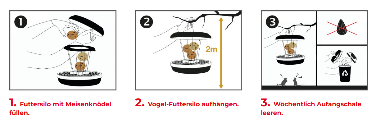 Anweisung
