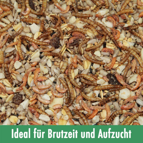 Paul's Mühle Wildvogelfutter Phönix 2,5 kg