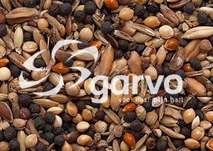 Garvo 5333 Unkrautsämereien 4 kg
