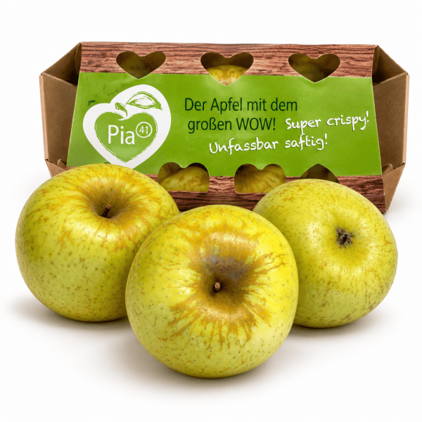 NEU Speiseäpfel Pia 41 - unfassbar saftig 750 g (3 Stück)
